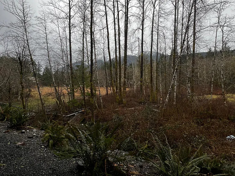 30120 Mountain Loop Hwy #1 — Photo 5