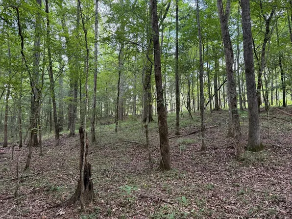 County Road 199, Troy, AL 36081