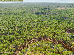 165 Pixie Moss Ln, Southern Pines, NC 28387