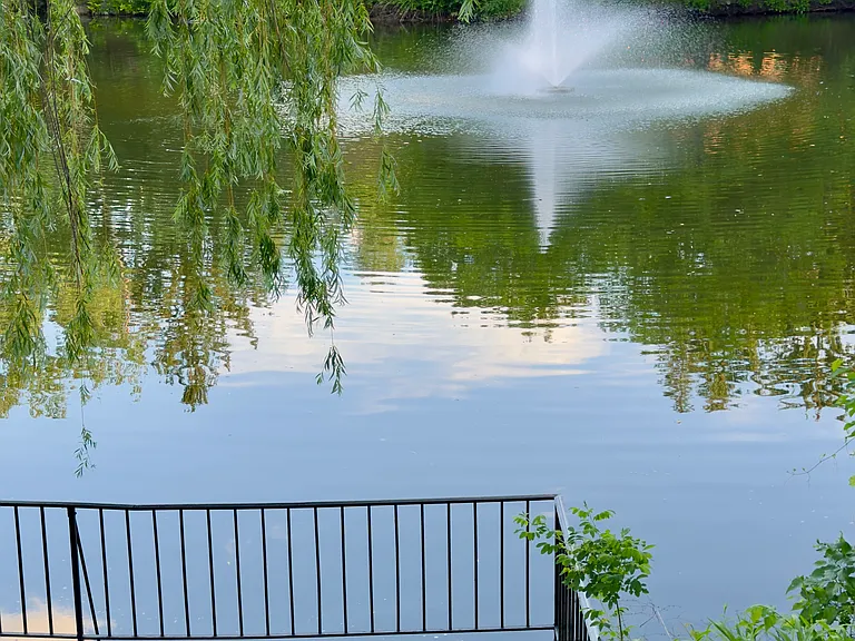 The pond with the water fountain