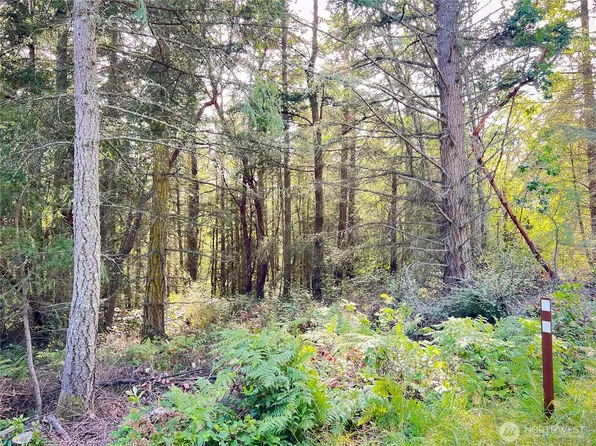 999 Cape George Rd, Port Townsend, WA 98368