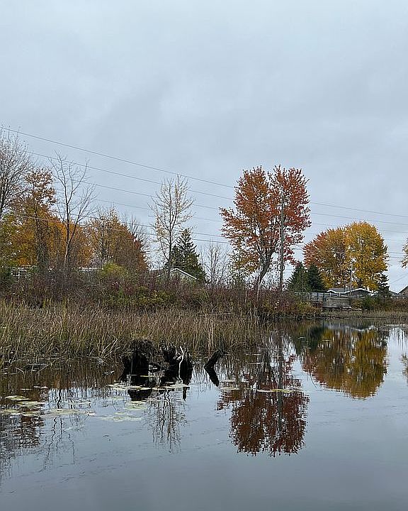 2nd image of 155 N Black River Rd