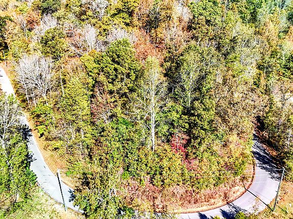 3rd image of O'Happy Creek Rd