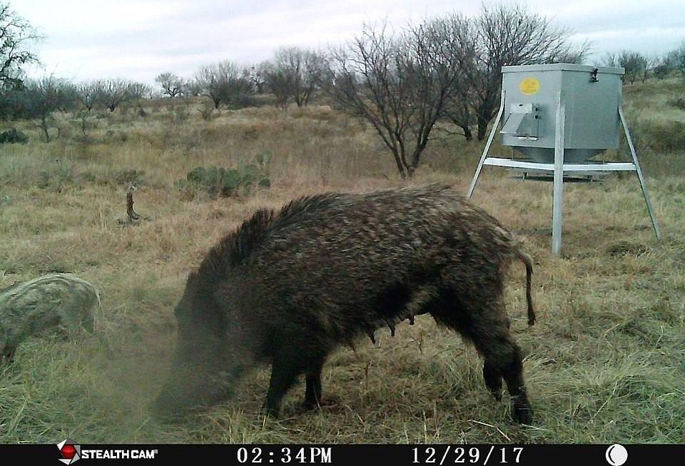 1st image of 317 County Road 374