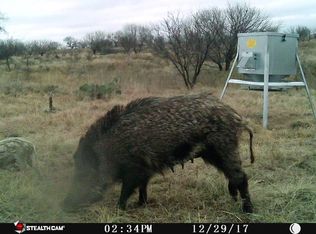 317 County Road 374, Woodson, TX 76491