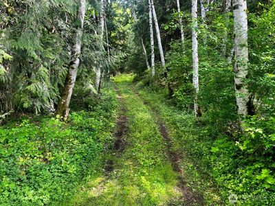 293 Zion View Lane, Quilcene, WA, 98376