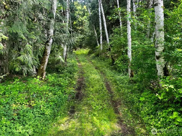 293 Zion View Lane, Quilcene, WA 98376