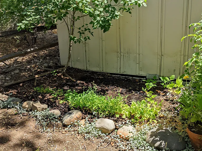 Aspen St — Photo 26