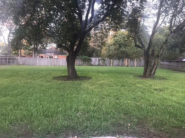 Spacious back yard ready for grilling parties
