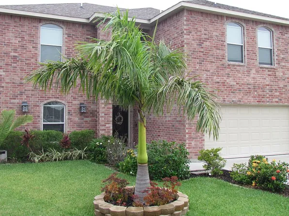 1600 Kelly Ln, Kingsville, TX 78363