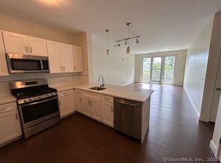 111B Morgan St #325, Stamford, CT 06905
