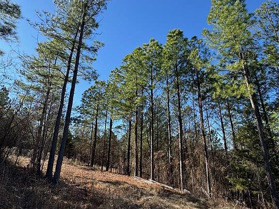 4th image of 85 Timber Holler Trl Lot 528