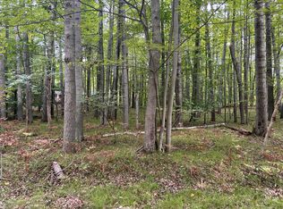 8228 Tanglewood Trl, Stanwood, MI 49346