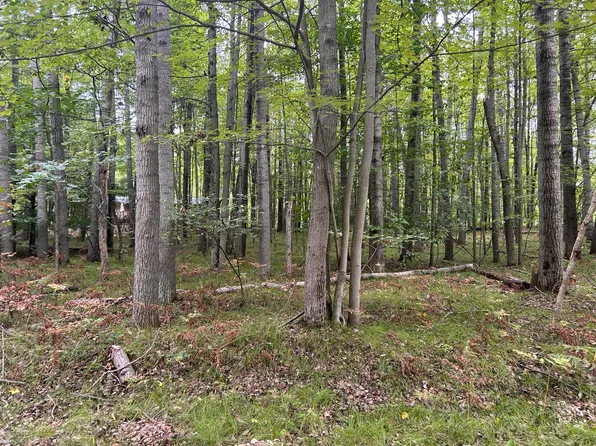 8228 Tanglewood Trl, Stanwood, MI 49346
