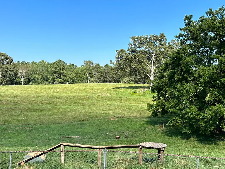 588B Oak Grove Rd — Photo 42