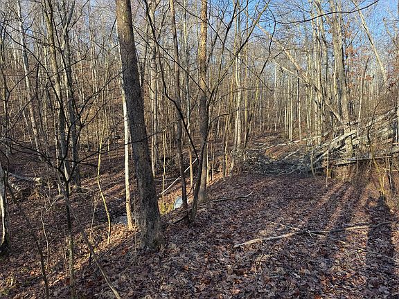 5th image of 0 Red Fox Ln