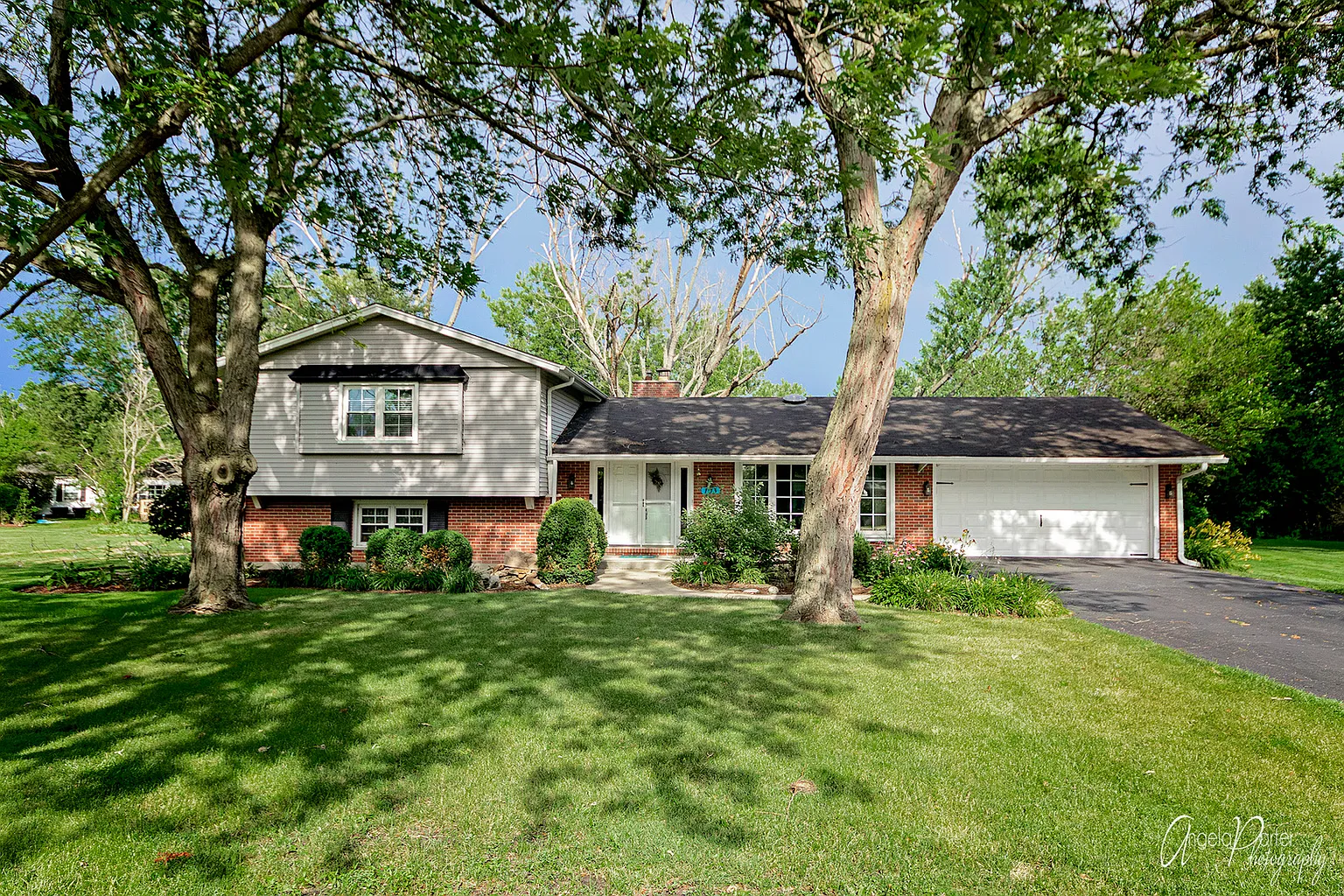 103 Thorobred Ln photo 1