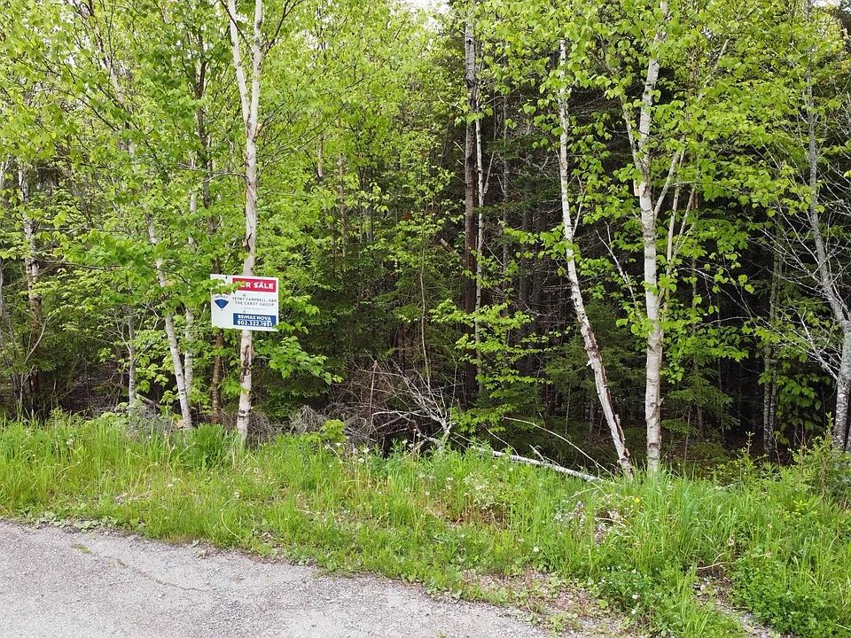 LOT 29 Birchwood Hts D, Albert Bridge, NS B1K 3G7 MLS 202312110 Zillow
