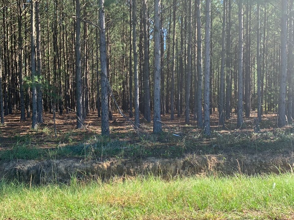 2nd image of Watermill Rd