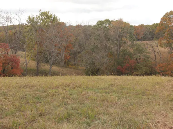 Tbd Fairview Church Road, Rueter, MO 65744