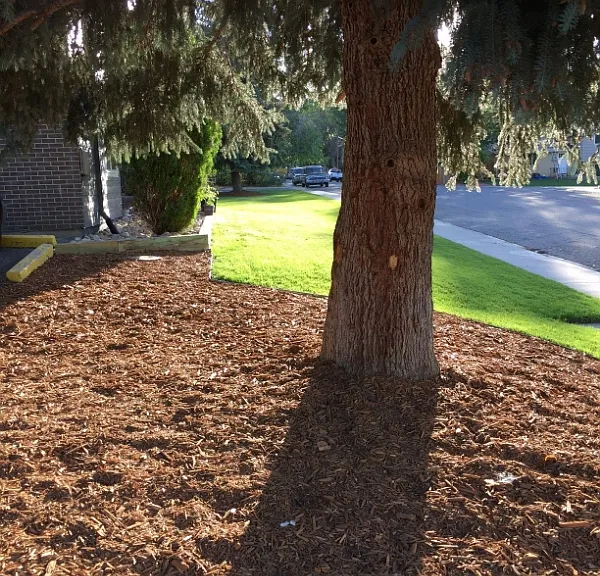 1829 Warren Ave — Photo 3