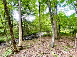 0 Cairo Junction Rd, Catskill, NY 12414