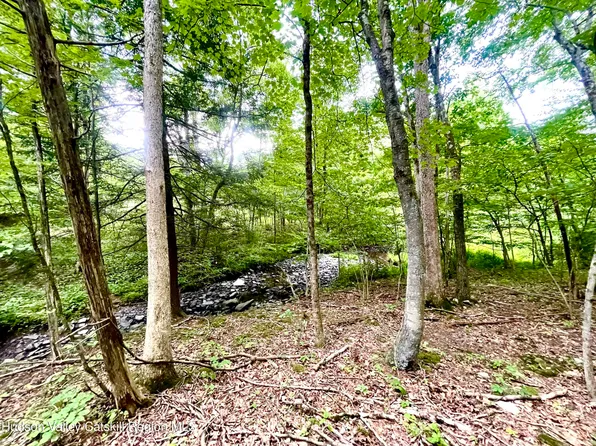 0 Cairo Junction Road, Catskill, NY 12414