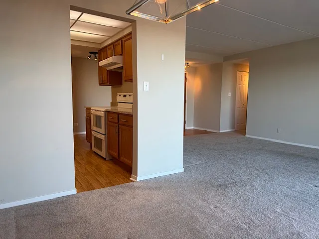 6340 Americana Dr #1102 — Photo 8