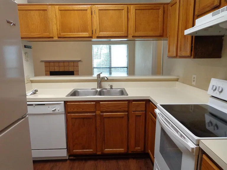 323 Iberis Dr — Photo 8