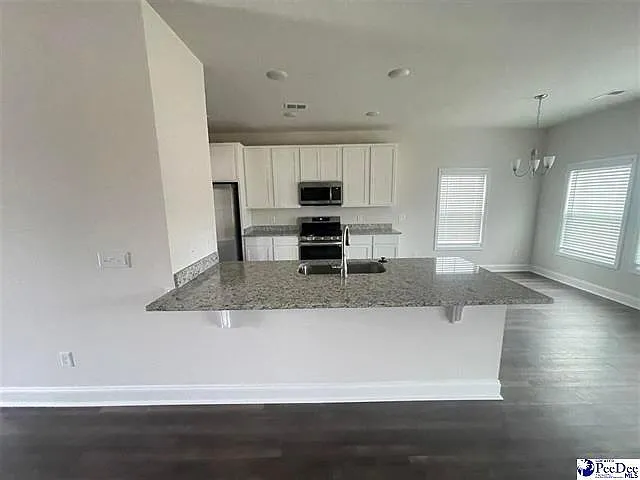 1037 Summer Duck Loop — Photo 2