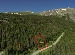 321 County Road 805, Breckenridge, CO 80424