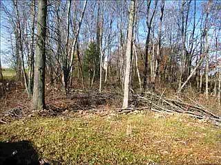2nd image of 113 Pimlico Dr