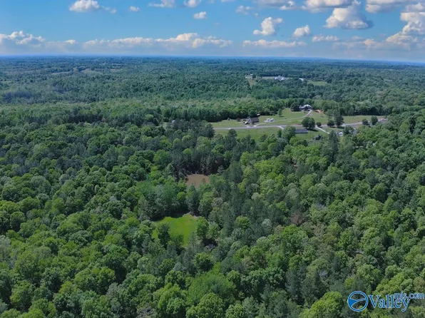 County Road 585, Town Creek, AL 35672