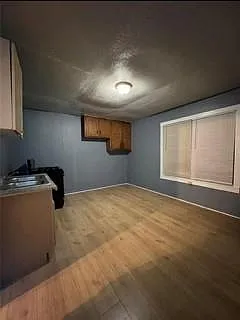 1 bed, 1.0 bath, 1033 sqft, $1,000 — Photo 4