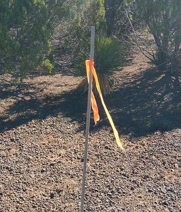 3rd image of 71 County Road 8148 1 N