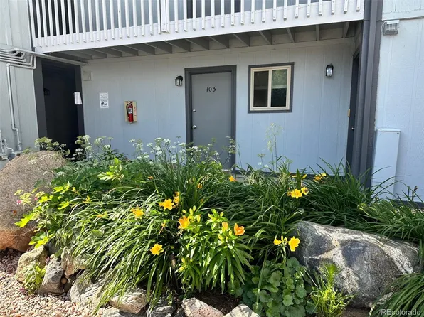 1901 Clear Creek Drive #E-103, Georgetown, CO 80444
