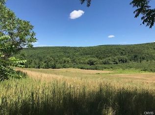 7367 Cold Brook Rd, Homer, NY 13077