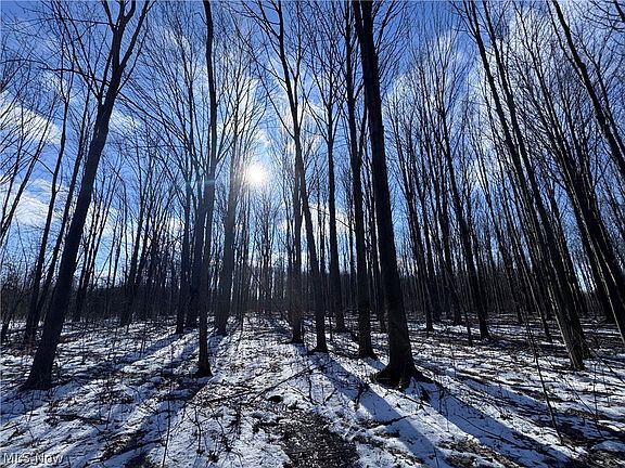 4th image of V/l 2 Leroy Center Rd