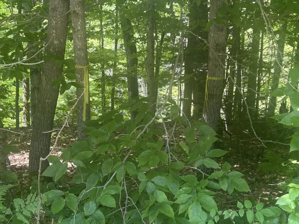 018 Canton Mtn Road, Jay, ME 04239