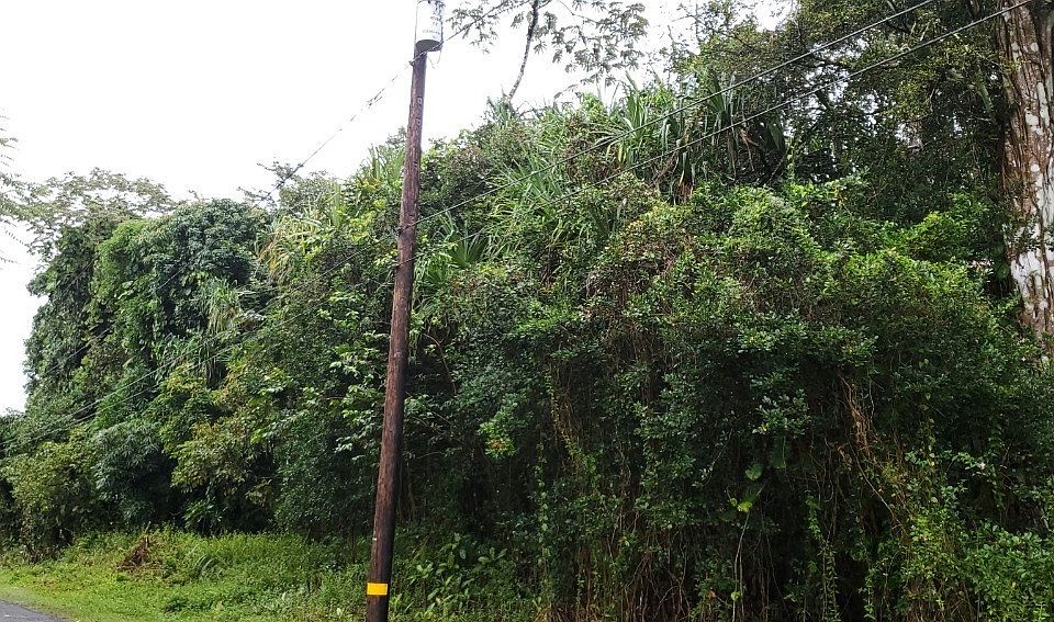 2nd image of Nenue St Lot 6