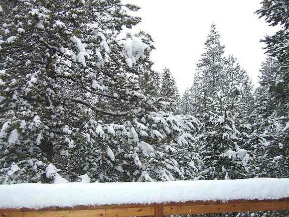 2nd image of 11403 Northwoods Blvd #3