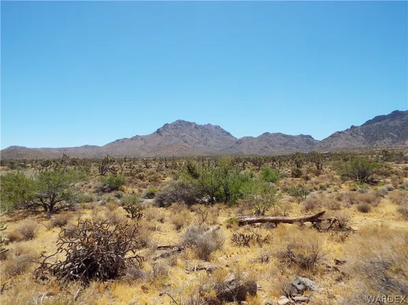328-05 N Palo Alto Dr #39, Dolan Springs, AZ 86441