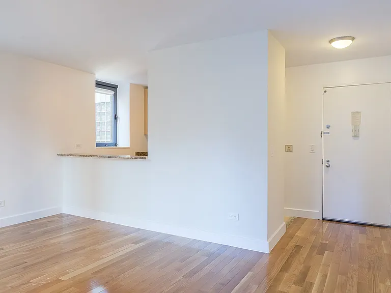 235 W 48th St #16C — Photo 3