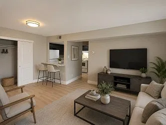 1 bed, $1,300 — Photo 3