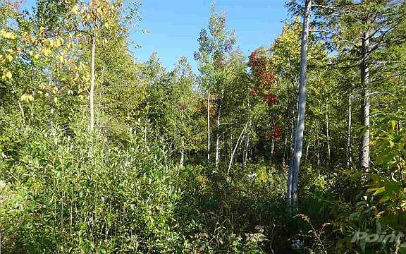 3rd image of 3670 S Lake Leelanau Dr