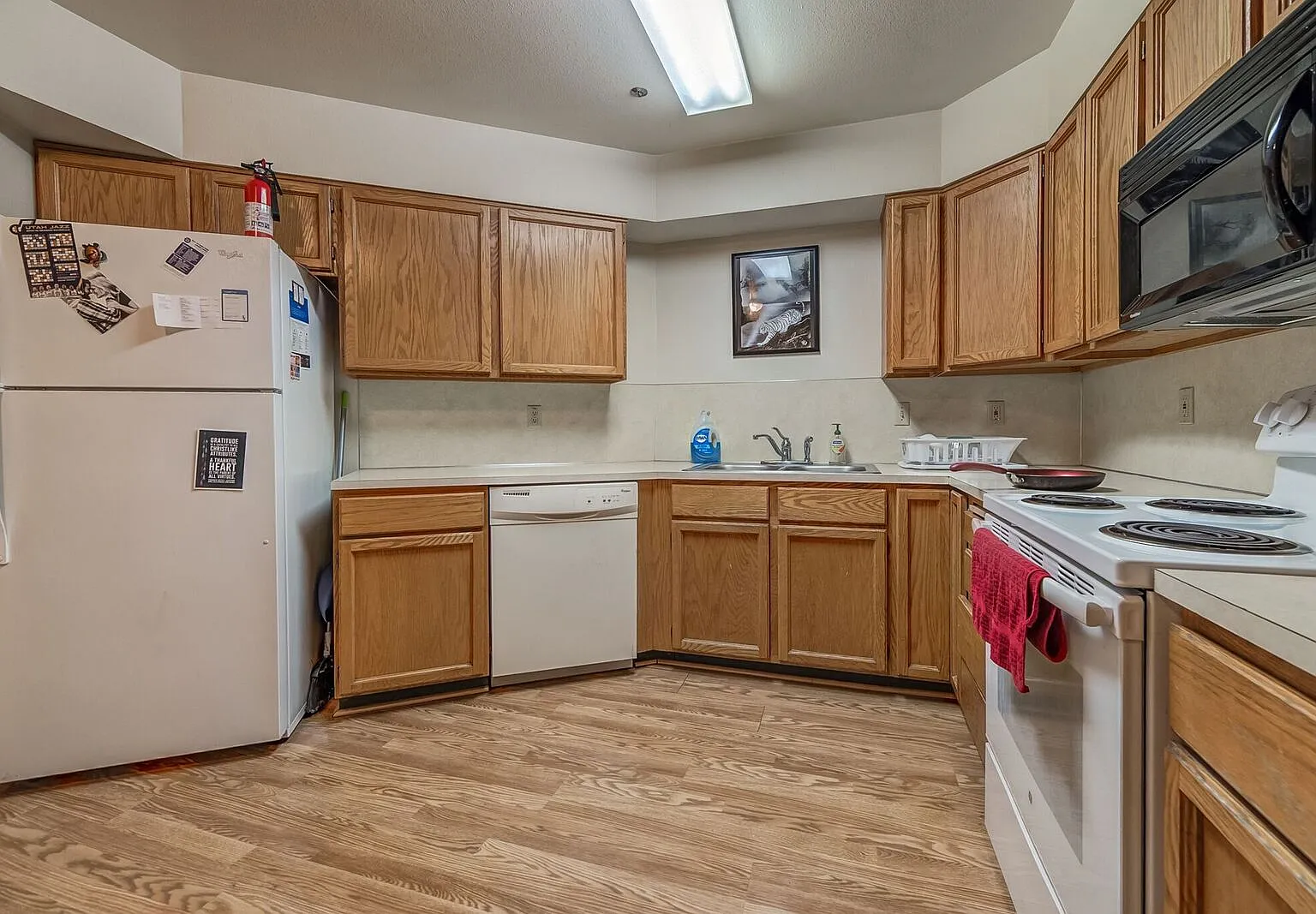 2 bed, 988 sqft, $449 — Photo 4