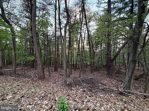 2nd image of 2394 Crow Foot Dr