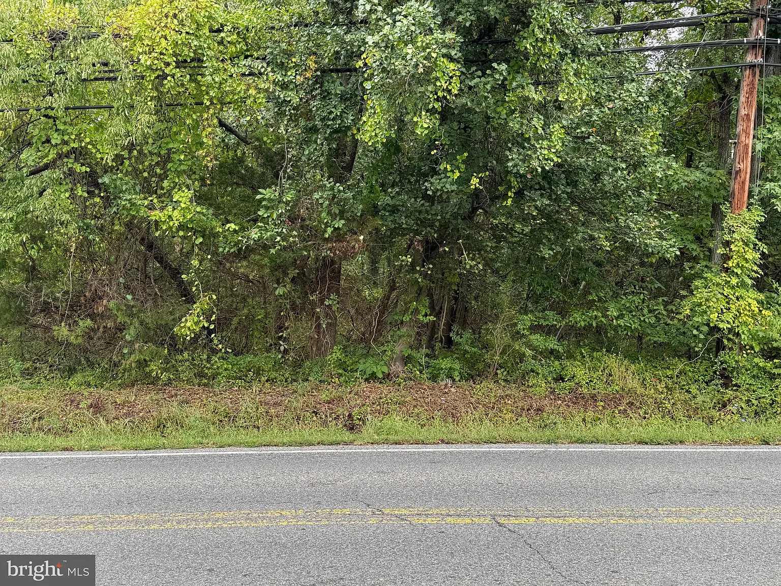 12110 Livingston Rd photo 1