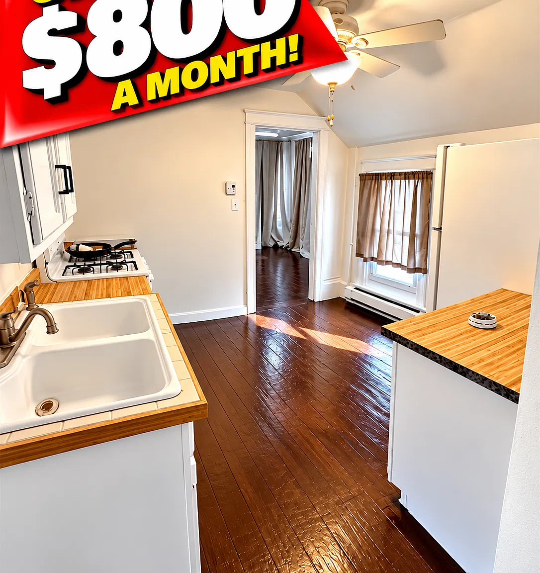 1 bed, 850 sqft, $800 — Photo 1