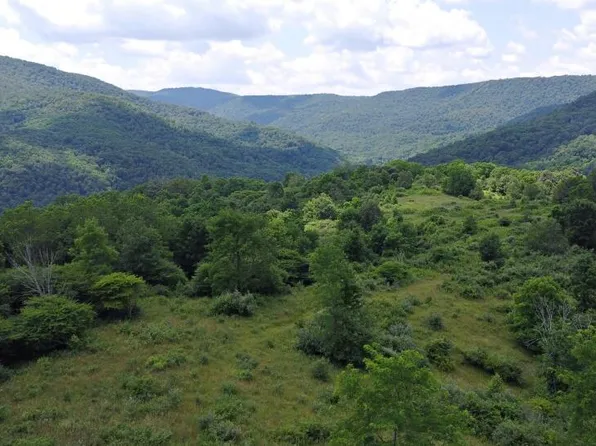 Linwood Rd, Slatyfork, WV 26291